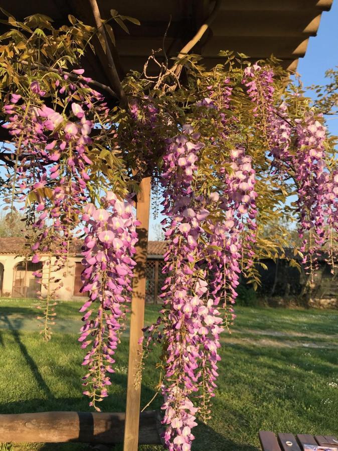 Agriturismo Corte Galvagnina Cesole Bagian luar foto